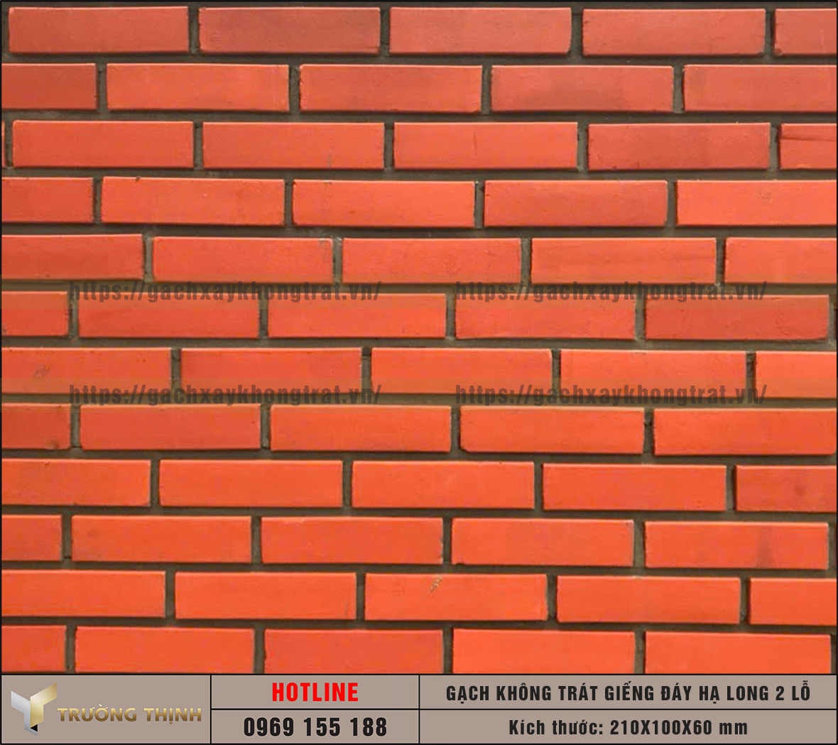 5 Lý Do Nên Chọn Gạch 2 Lỗ Giếng Đáy Hạ Long Xây Tường Không Trát