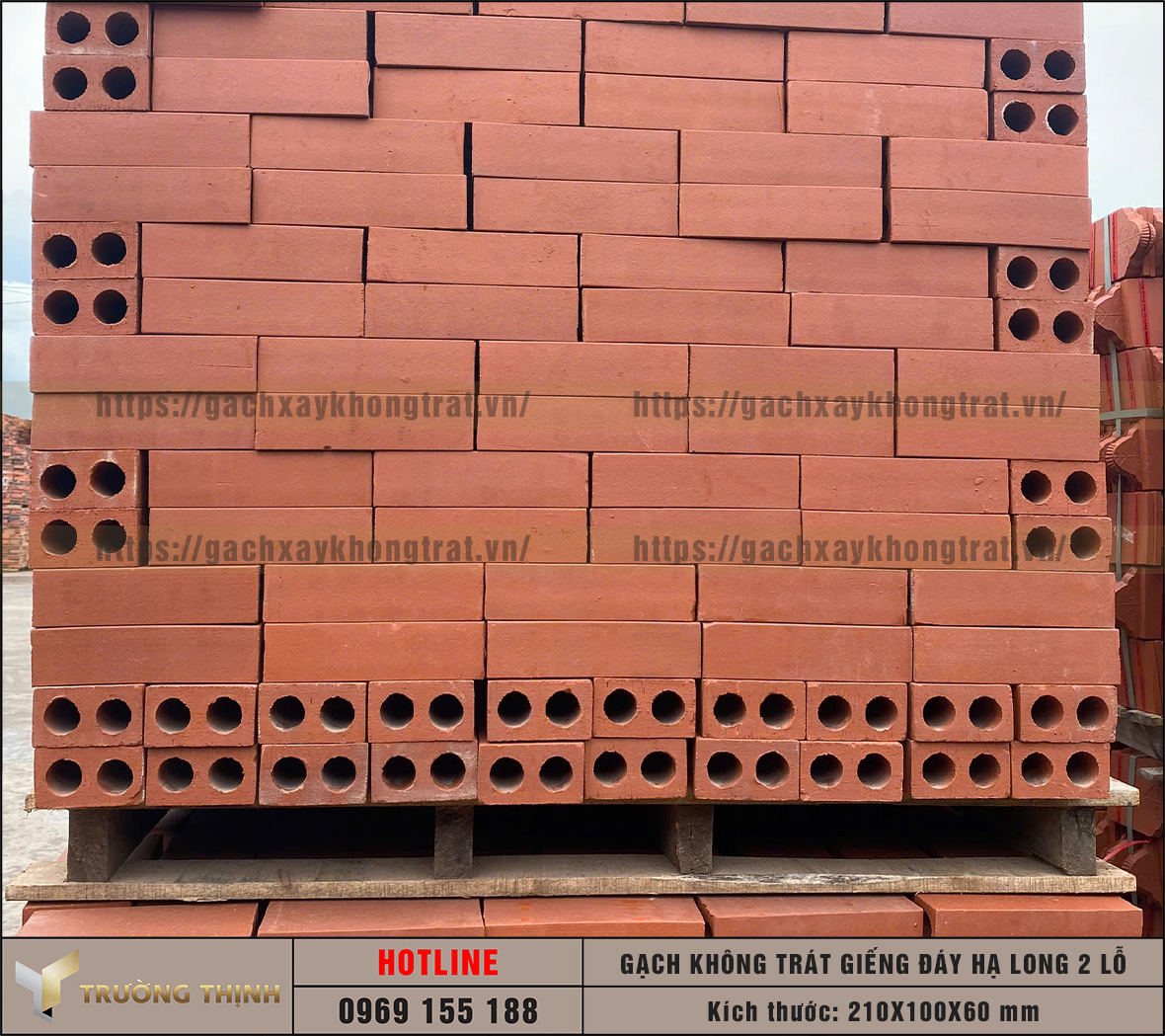 5 Lý Do Nên Chọn Gạch 2 Lỗ Giếng Đáy Hạ Long Xây Tường Không Trát