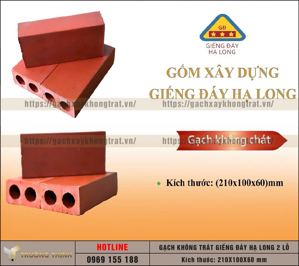 5 Lý Do Nên Chọn Gạch 2 Lỗ Giếng Đáy Hạ Long Xây Tường Không Trát