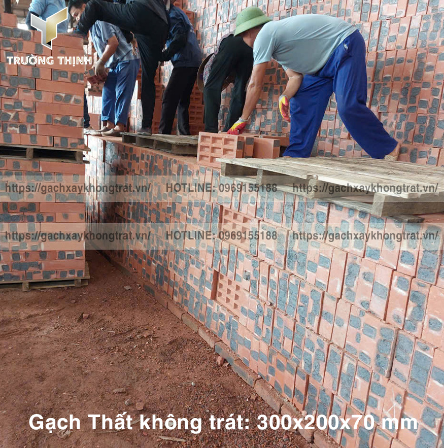 Cập nhật báo giá gạch Thất xây không trát 300x200x70 mới nhất 2026