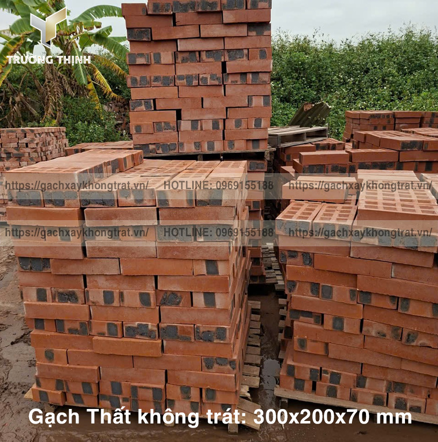 Cập nhật báo giá gạch Thất xây không trát 300x200x70 mới nhất 2026