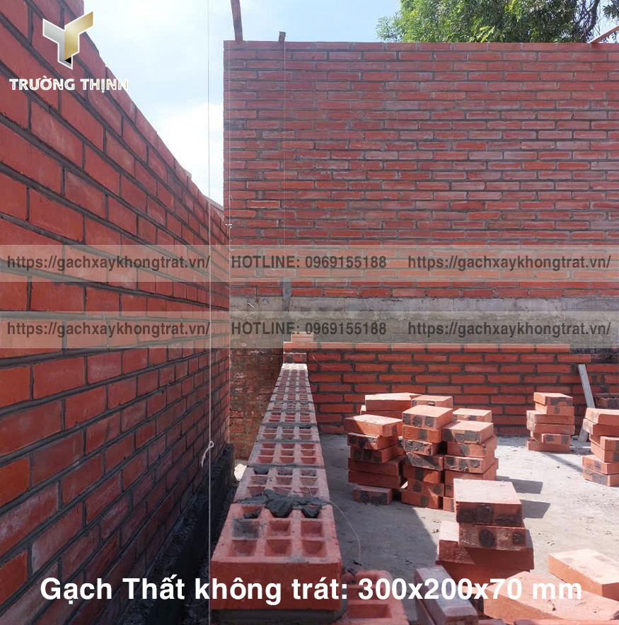   Báo giá gạch Thất xây không trát 300x200x70 mới nhất 2026 | Trường Thịnh Group