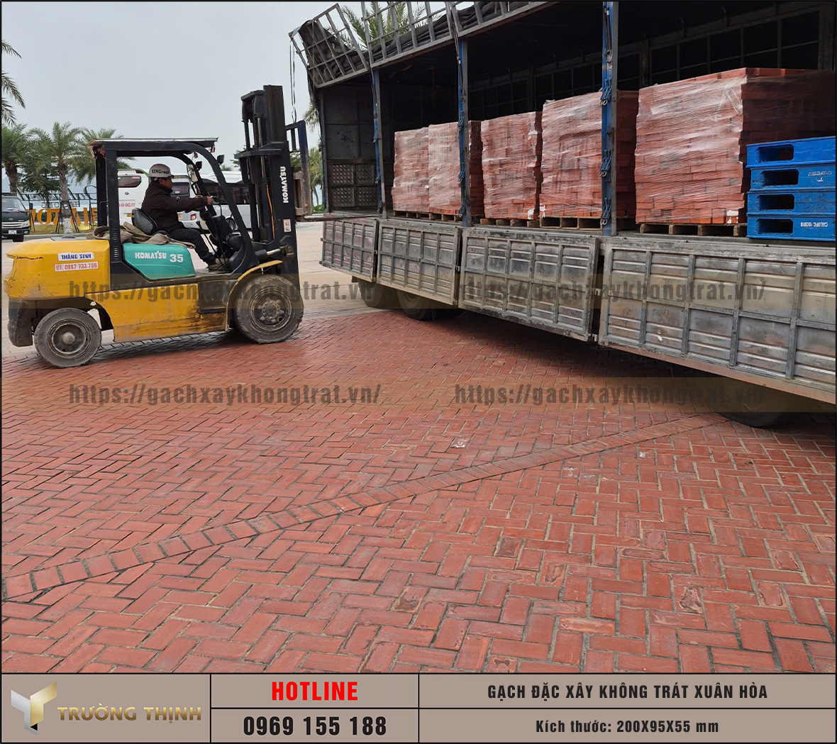 Review 2 mẫu gạch đặc không trát lát sân được ưa chuộng nhất hiện nay: Lựa chọn nào cho công trình của bạn?