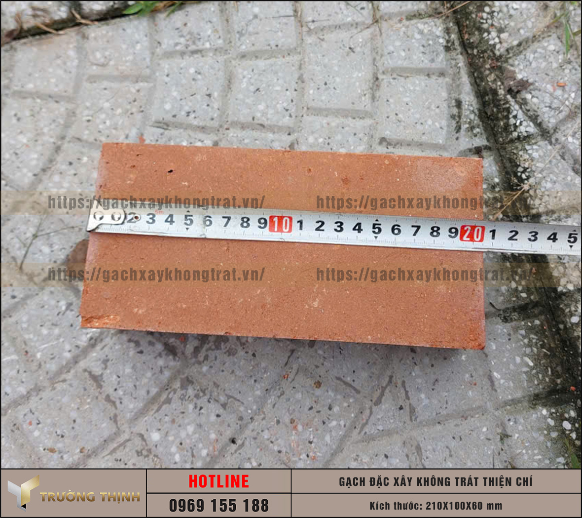 Review 2 mẫu gạch đặc không trát lát sân được ưa chuộng nhất hiện nay: Lựa chọn nào cho công trình của bạn?