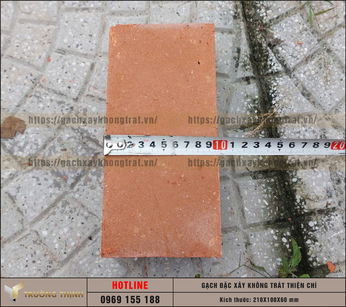 Review 2 mẫu gạch đặc không trát lát sân được ưa chuộng nhất hiện nay: Lựa chọn nào cho công trình của bạn?