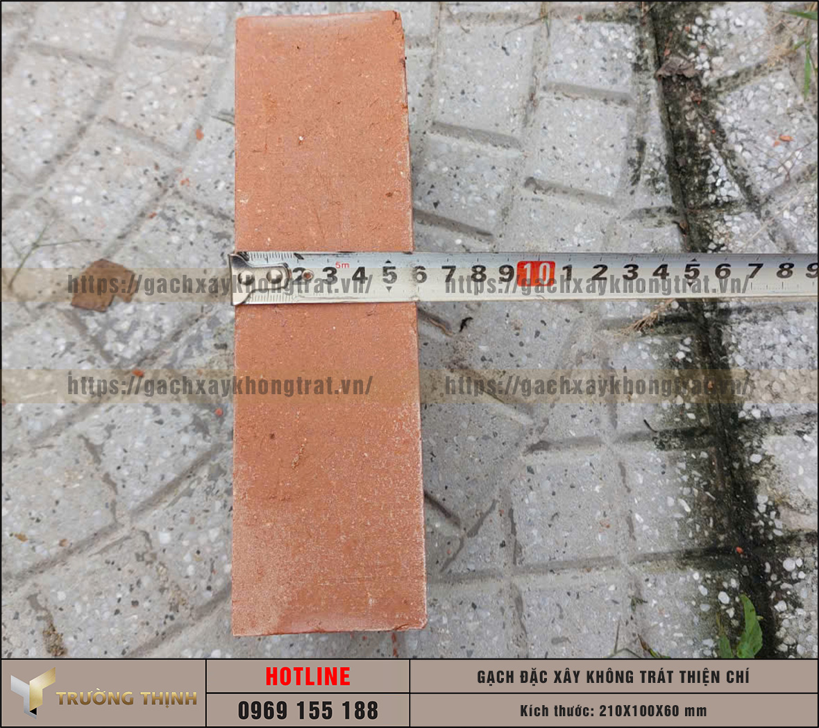 Review 2 mẫu gạch đặc không trát lát sân được ưa chuộng nhất hiện nay: Lựa chọn nào cho công trình của bạn?