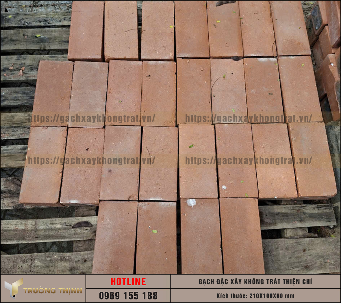 Review 2 mẫu gạch đặc không trát lát sân được ưa chuộng nhất hiện nay: Lựa chọn nào cho công trình của bạn?