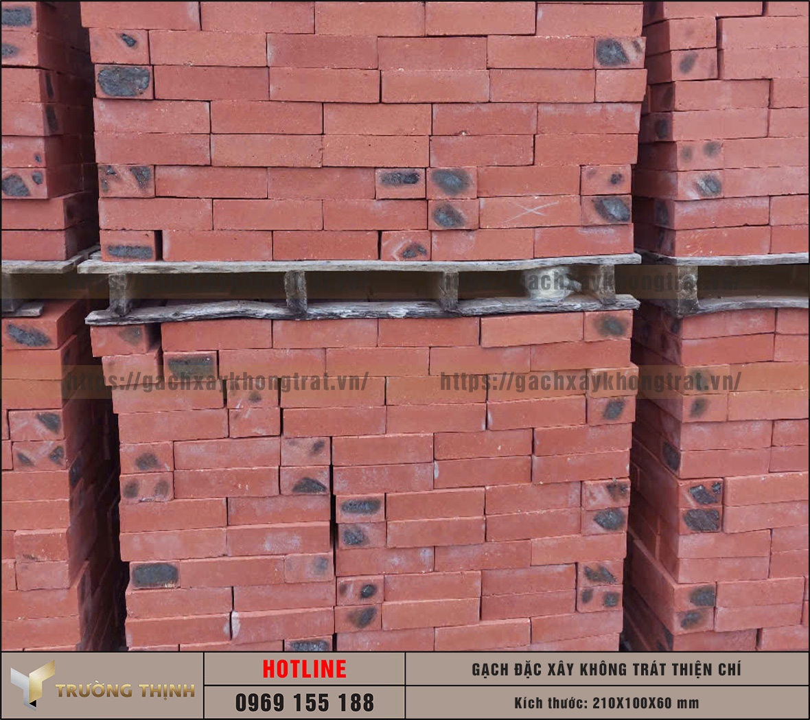 Review 2 mẫu gạch đặc không trát lát sân được ưa chuộng nhất hiện nay: Lựa chọn nào cho công trình của bạn?
