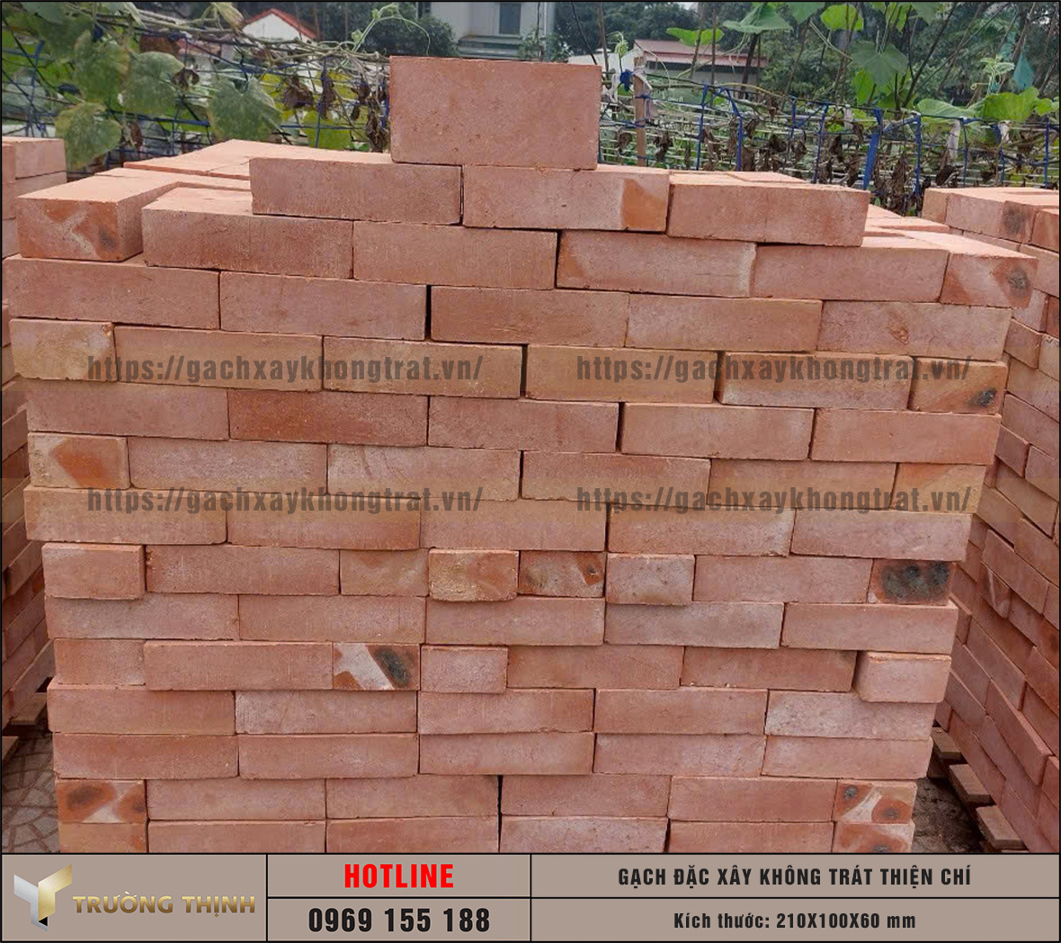 Review 2 mẫu gạch đặc không trát lát sân được ưa chuộng nhất hiện nay: Lựa chọn nào cho công trình của bạn?