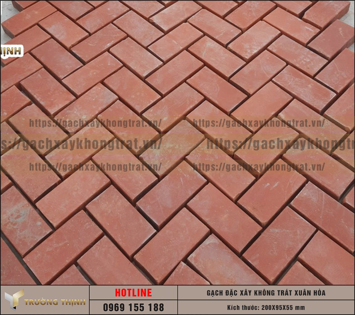 Review 2 mẫu gạch đặc không trát lát sân ưa chuộng nhất: Thiện Chí & Xuân Hòa