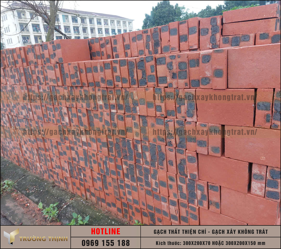 Review gạch Thất không trát Thiện Chí: Kích thước, Giá & Ứng dụng