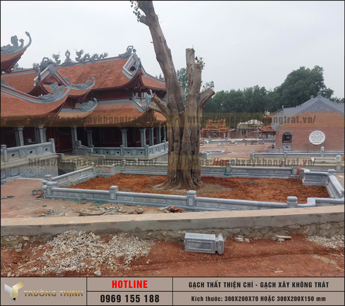 Review gạch Thất không trát Thiện Chí: Kích thước, Giá & Ứng dụng