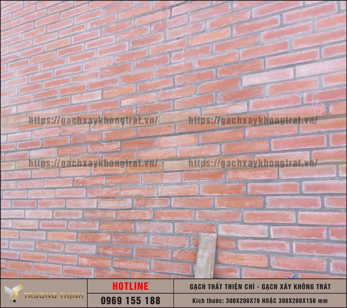 Review gạch Thất không trát Thiện Chí: Kích thước, Giá & Ứng dụng