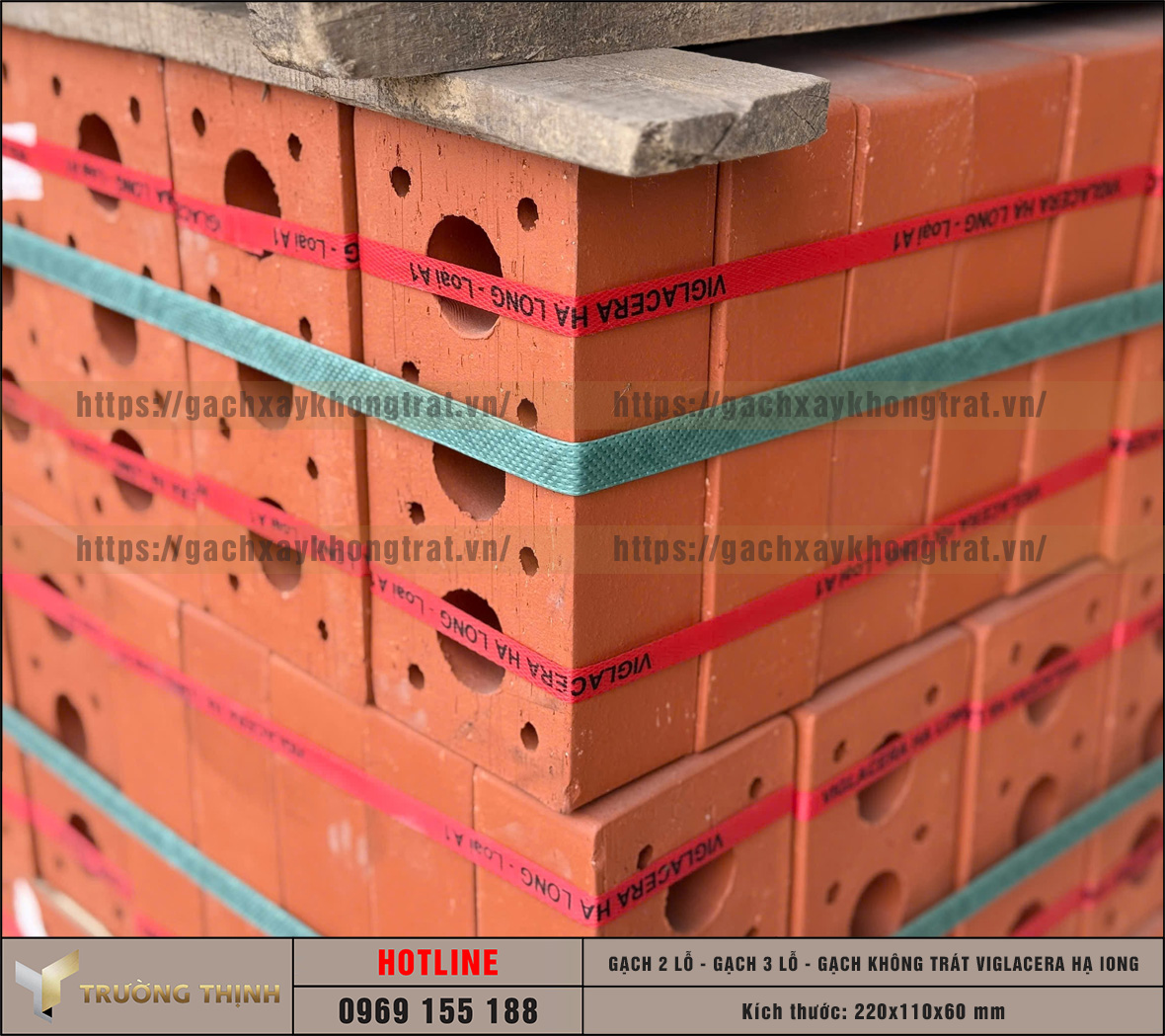 Báo giá gạch không trát 2 lỗ và 3 lỗ Viglacera Hạ Long mới nhất 2026 | Trường Thịnh Group