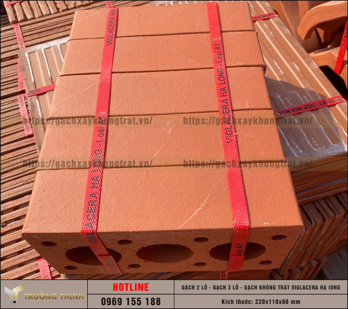 Báo giá gạch không trát 2 lỗ và 3 lỗ Viglacera Hạ Long mới nhất 2026 | Trường Thịnh Group
