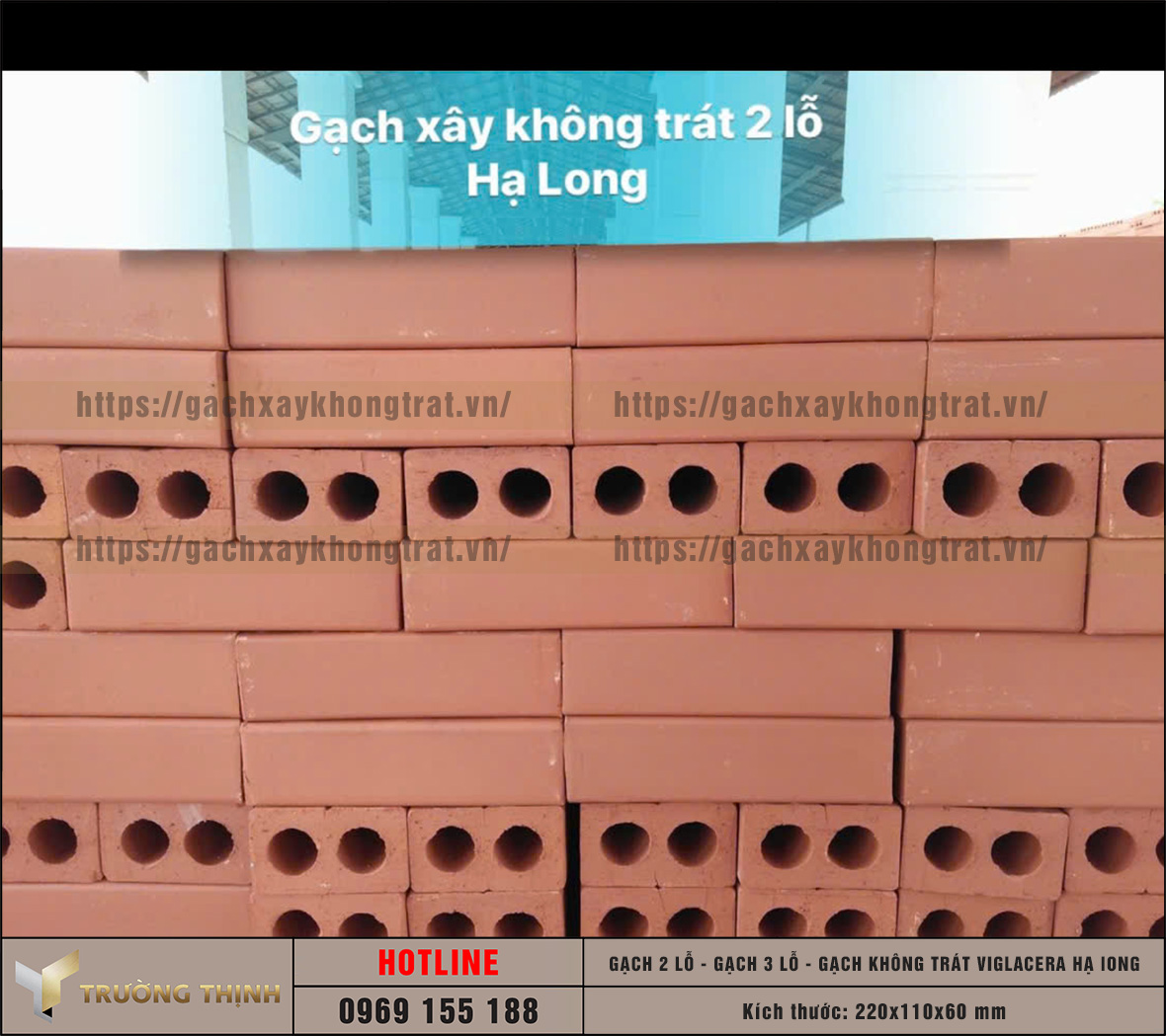 Báo giá gạch không trát 2 lỗ và 3 lỗ Viglacera Hạ Long mới nhất 2026 | Trường Thịnh Group