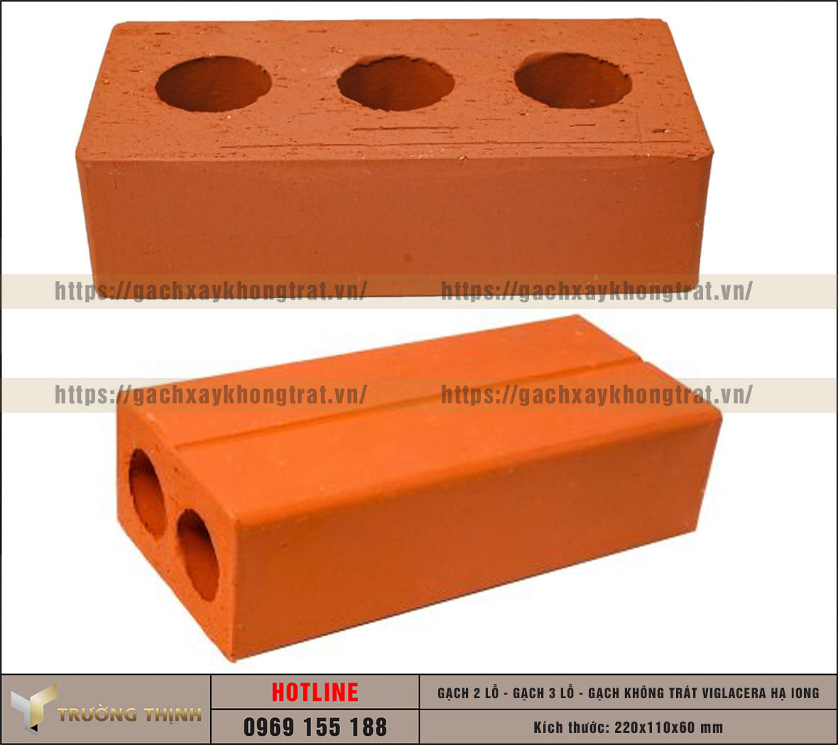 Báo giá gạch không trát 2 lỗ và 3 lỗ Viglacera Hạ Long mới nhất 2026 | Trường Thịnh Group
