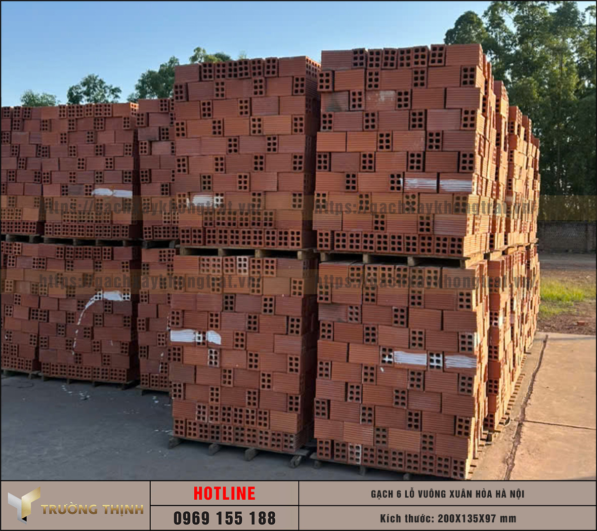 Báo giá gạch chống nóng 6 lỗ vuông Xuân Hòa Hà Nội mới nhất | Trường Thịnh Group
