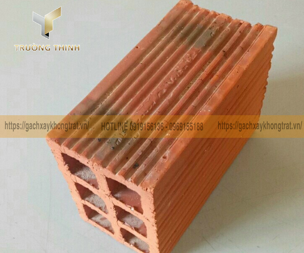 ​​​​​​​Trường Thịnh - Tổng đại lý phân phối gạch 6 lỗ vuông chống nóng Viglacera Xuân Hòa giá ưu đãi​​​​​​​