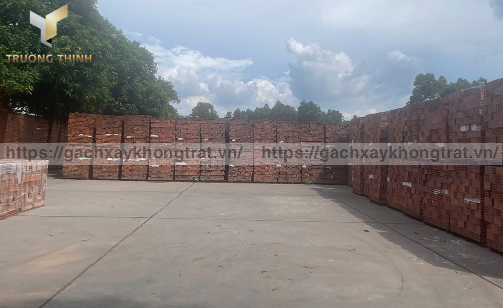 Gạch 6 lỗ chống nóng Viglacera Xuân Hòa tại nhà máy