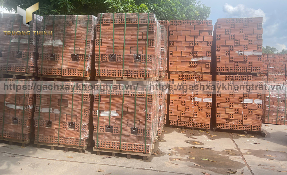 Gạch 6 lỗ chống nóng Viglacera Xuân Hòa tại nhà máy