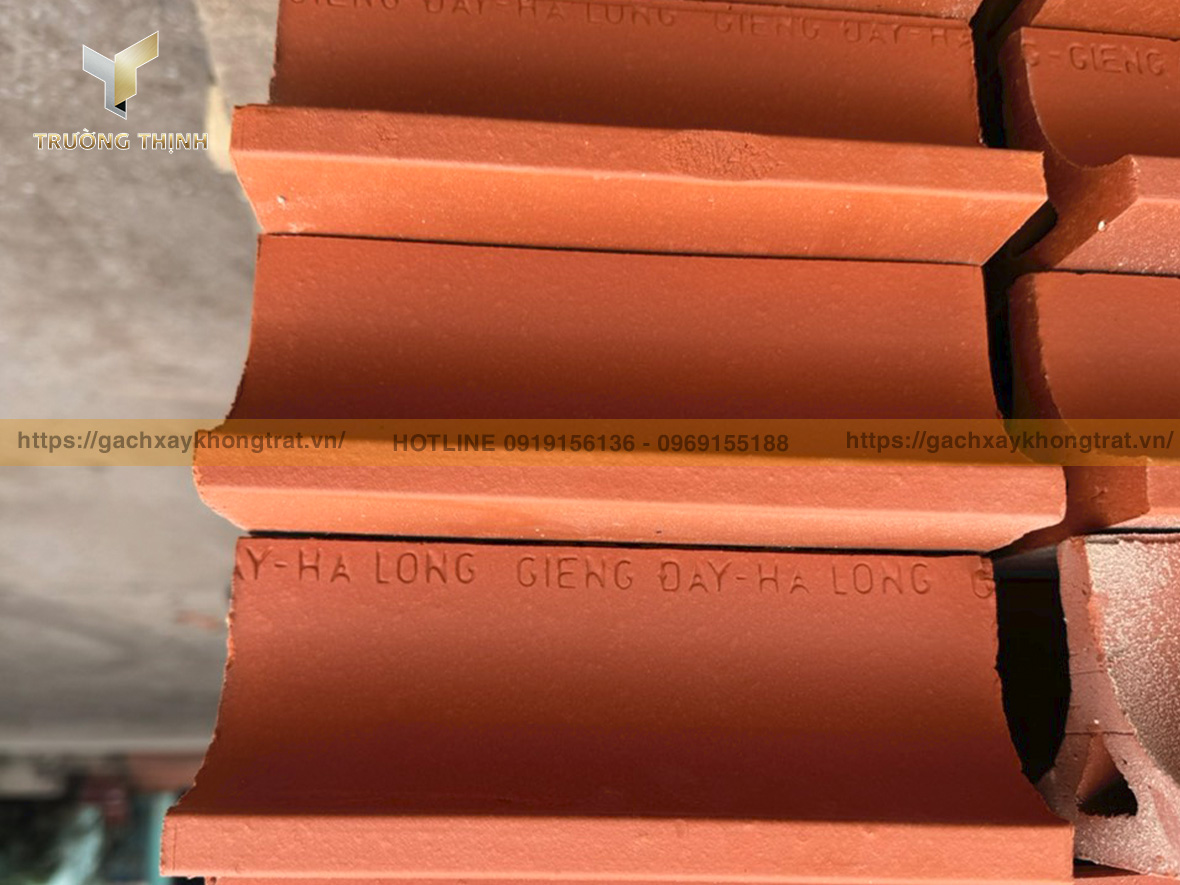 Trường Thịnh - Tổng đại lý phân phối gạch chữ U Giếng Đáy giá ưu đãi cho công trình và dự án