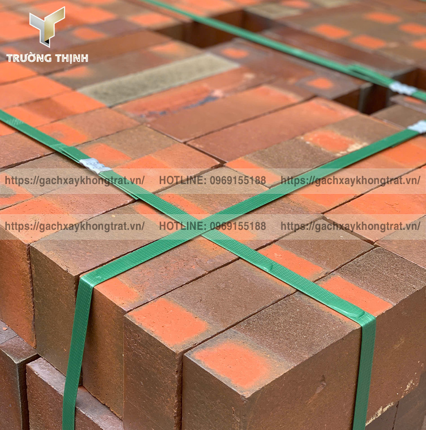 Báo giá gạch cổ - Gạch đặc xây không trát 220x110x60 mới nhất tại Trường Thịnh Group