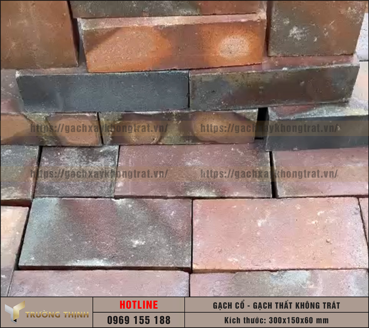 Báo giá gạch thất cổ xây không trát 300x150x60 xây tường và lát nền mới nhất 2026