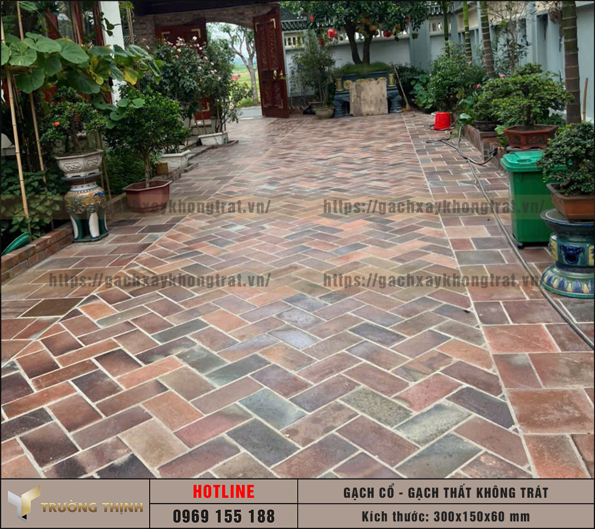 Báo giá gạch thất cổ xây không trát 300x150x60 xây tường và lát nền mới nhất 2026