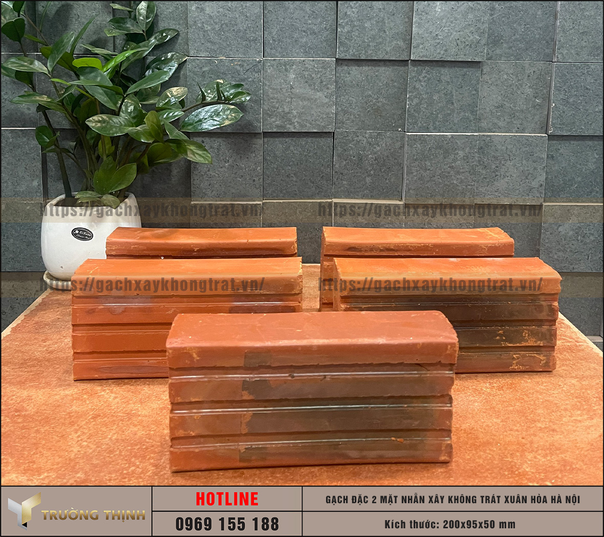 Báo giá gạch đặc 2 mặt nhẵn 200x95x50 xây không trát Xuân Hòa Hà Nội | Trường Thịnh Group