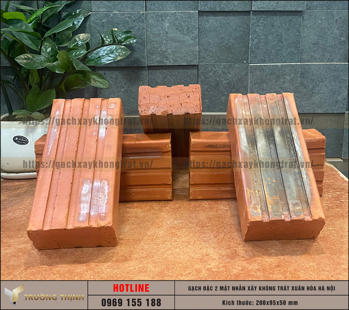 Báo giá gạch đặc 2 mặt nhẵn 200x95x50 xây không trát Xuân Hòa Hà Nội | Trường Thịnh Group