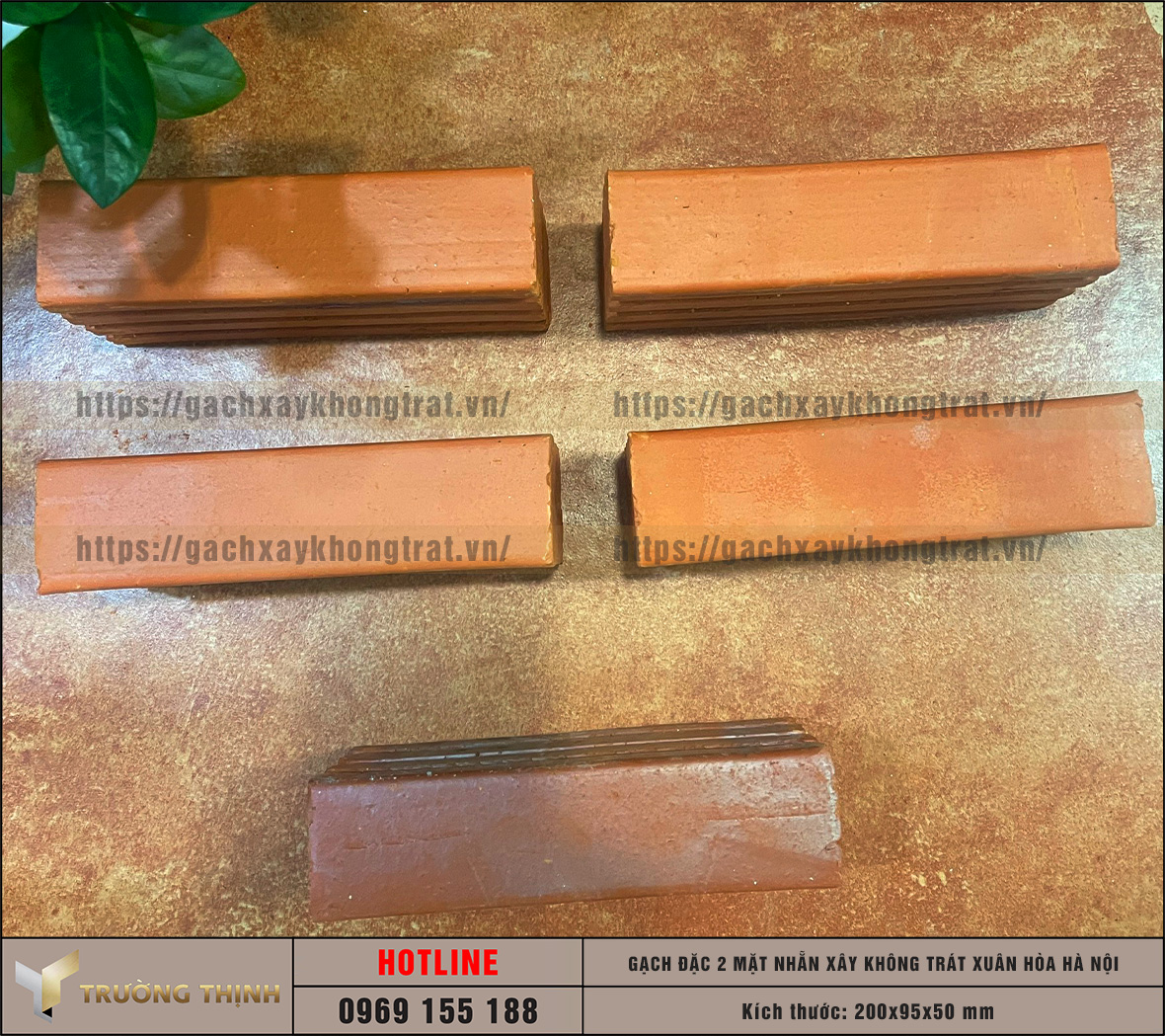 Báo giá gạch đặc 2 mặt nhẵn 200x95x50 xây không trát Xuân Hòa Hà Nội | Trường Thịnh Group