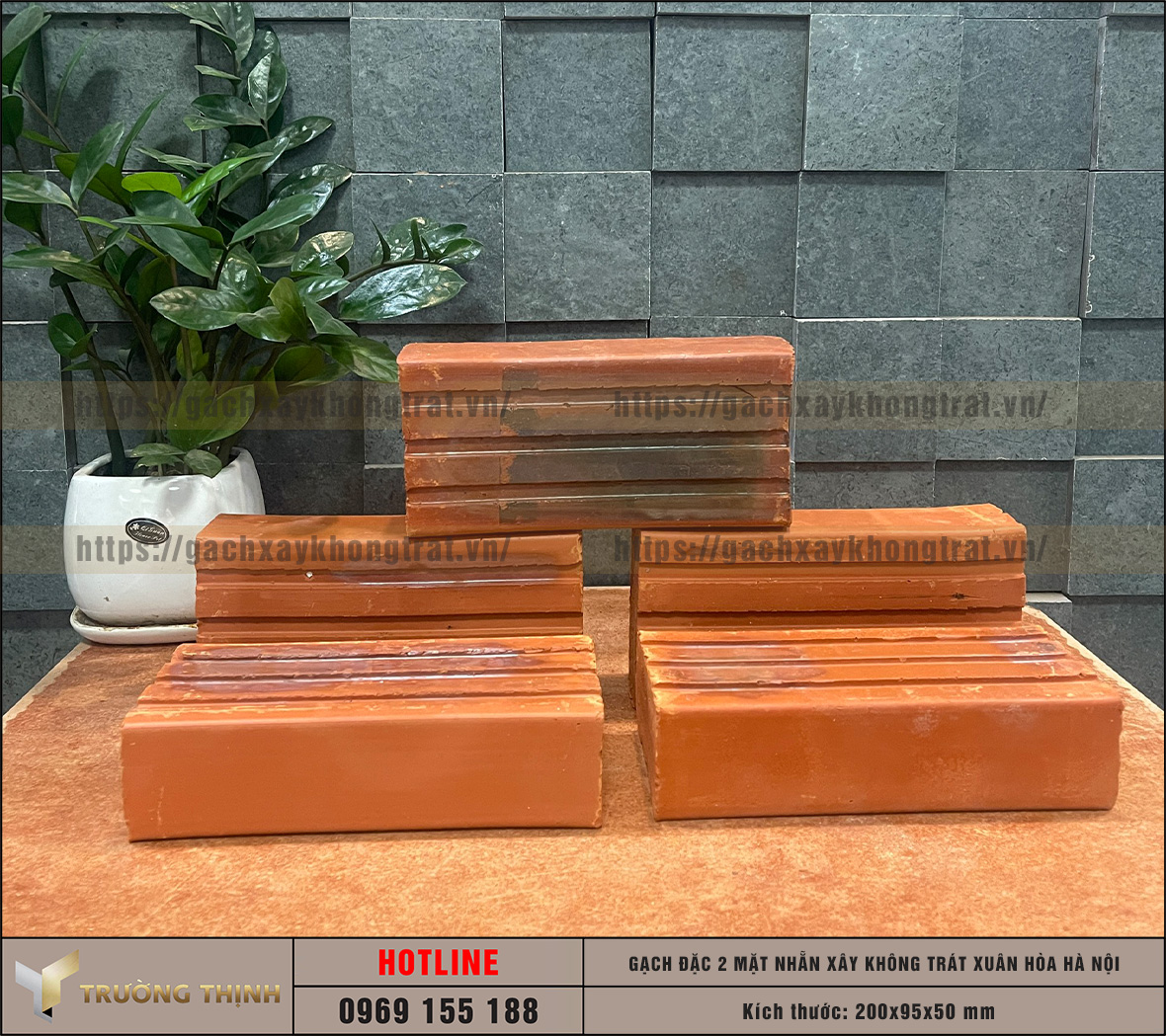 Báo giá gạch đặc 2 mặt nhẵn 200x95x50 xây không trát Xuân Hòa Hà Nội | Trường Thịnh Group