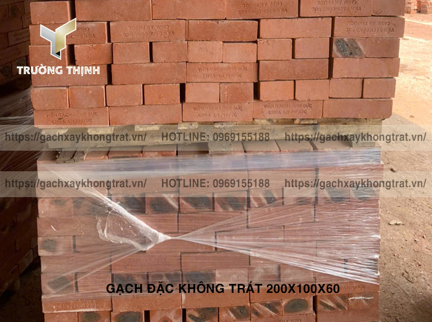 Gạch Đặc Không Trát 200x100x60 Thiện Chí - Mẫu Đẹp, Giá Rẻ, Bền Vững