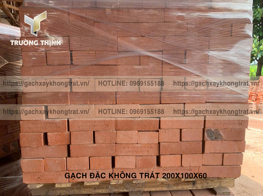 Gạch Đặc Không Trát 200x100x60 Thiện Chí - Mẫu Đẹp, Giá Rẻ, Bền Vững