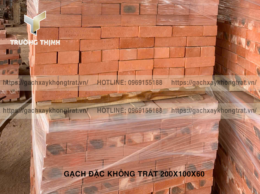 Gạch Đặc Không Trát 200x100x60 Thiện Chí - Mẫu Đẹp, Giá Rẻ, Bền Vững