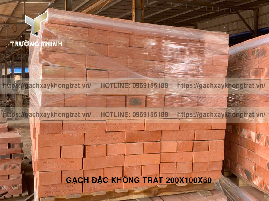 Gạch Đặc Không Trát 200x100x60 Thiện Chí - Mẫu Đẹp, Giá Rẻ, Bền Vững