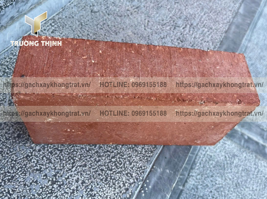 Gạch Đặc Không Trát 200x100x60 Thiện Chí - Mẫu Đẹp, Giá Rẻ, Bền Vững