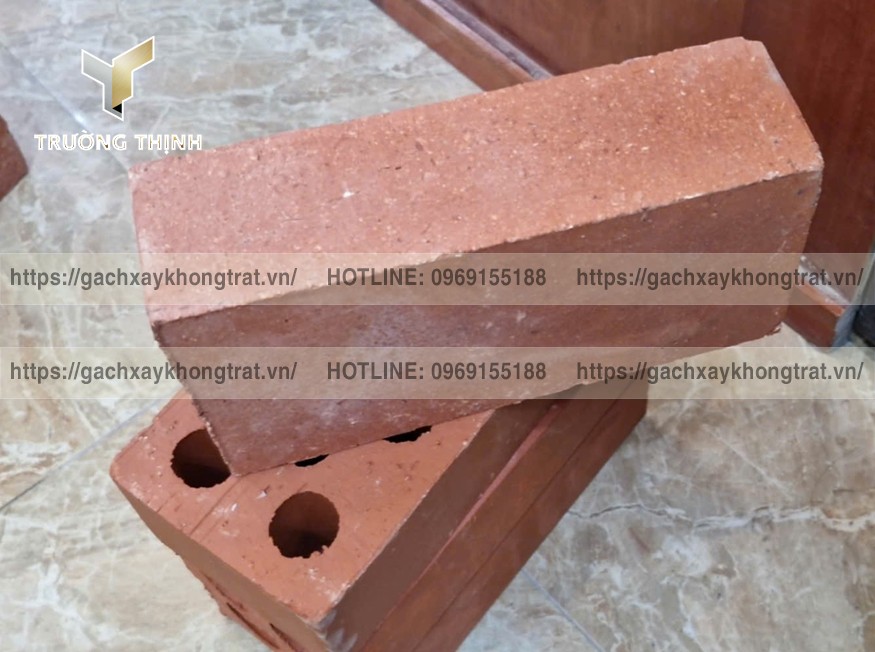 Gạch Đặc Không Trát 200x100x60 Thiện Chí - Mẫu Đẹp, Giá Rẻ, Bền Vững