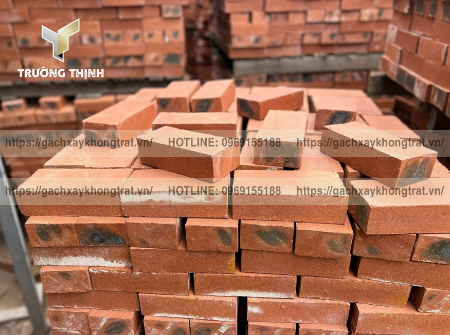 Gạch Đặc Không Trát 200x100x60 Thiện Chí - Mẫu Đẹp, Giá Rẻ, Bền Vững