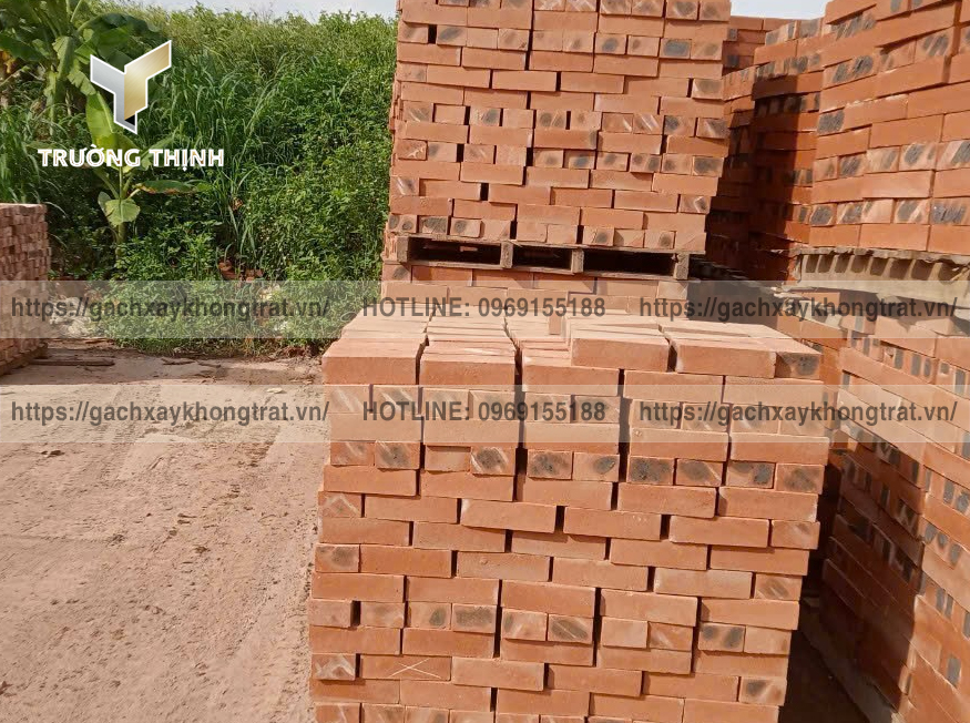 Gạch Đặc Không Trát 200x100x60 Thiện Chí - Mẫu Đẹp, Giá Rẻ, Bền Vững