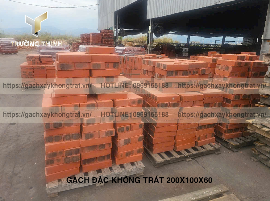 Báo Giá Gạch Đặc Không Trát 200x100x60 Thiện Chí - Mẫu Đẹp, Giá Rẻ, Bền Vững