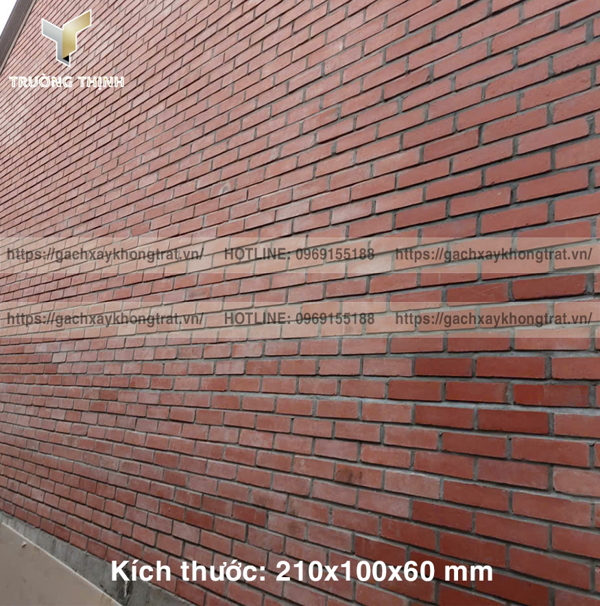 Báo giá gạch đặc 210x100x60 giá mới nhất 2026 – Đỉnh cao chất lượng từ Trường Thịnh Group