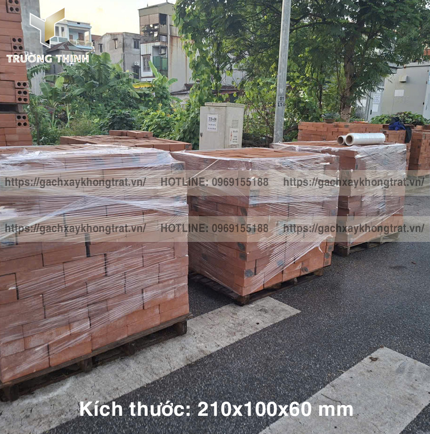 Báo giá gạch đặc 210x100x60 giá mới nhất 2026 – Đỉnh cao chất lượng từ Trường Thịnh Group