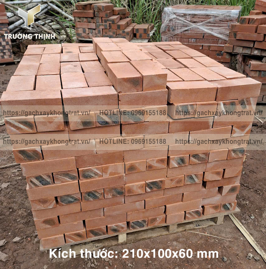   Báo giá gạch đặc 210x100x60 Thiện Chí mới nhất 2026 | Trường Thịnh Group