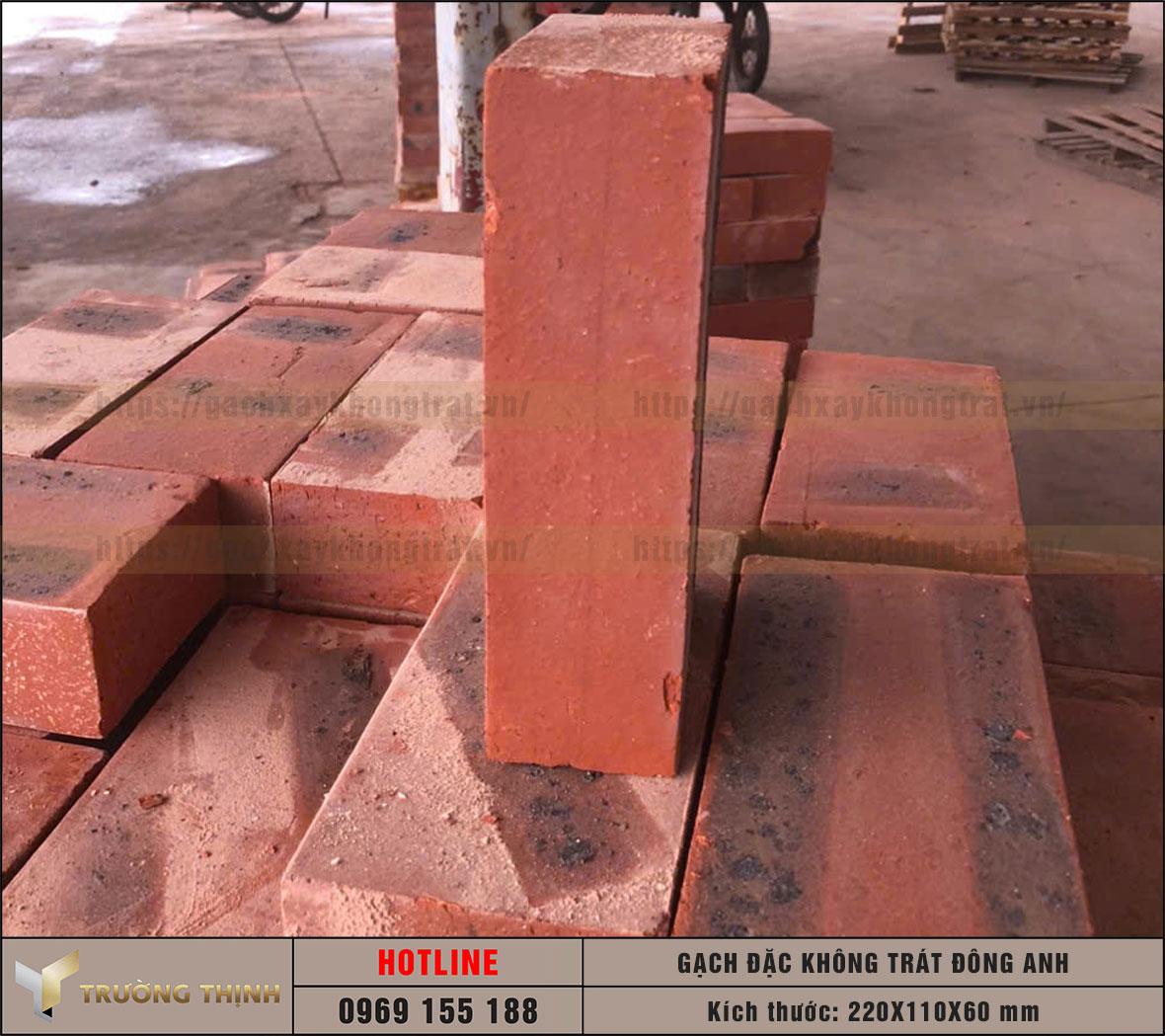 Báo giá gạch đặc xây tường không trát 220x110x60 Đông Anh mới nhất