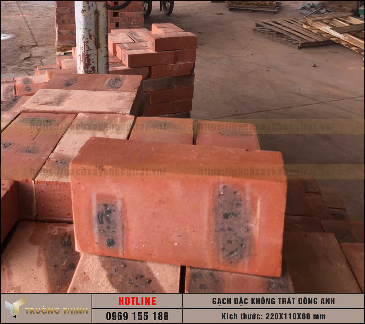 Báo giá gạch đặc xây tường không trát 220x110x60 Đông Anh