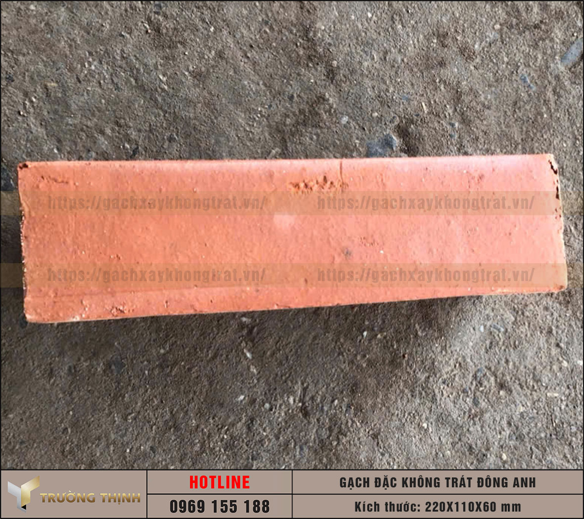 Báo giá gạch đặc xây tường không trát 220x110x60 Đông Anh