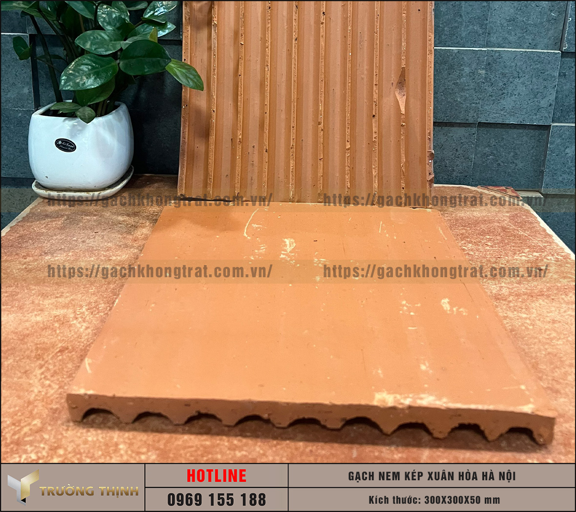 Báo giá gạch nem kép 300x300x50 Xuân Hòa Hà Nội: Giải pháp chống nóng bền vững cho mọi công trình