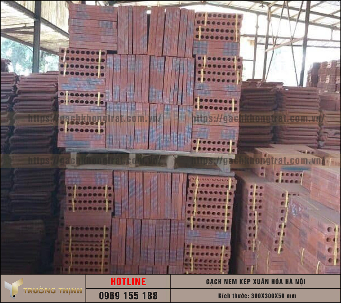 Báo giá gạch nem kép 300x300x50 Xuân Hòa Hà Nội: Giải pháp chống nóng bền vững cho mọi công trình